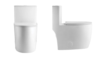 Front and side view of the Nova one-piece dual flush toilet with soft-close seat, concealed trapway, and modern white design for bathrooms in Toronto, Vaughan, and the Greater Toronto Area (GTA).