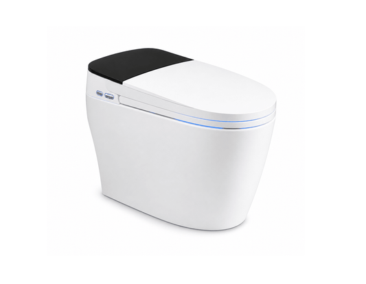 AquaSense Smart Toilet with Bidet - RenoPro Co.
